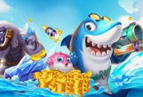 im电竞APP下载2024最新版