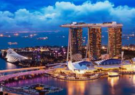 im电竞APP下载正式版